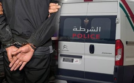 طنجة .. توقيف 11 شخصا مرتبطون بشبكة إجرامية تنشط في التهريب الدولي للمخدرات