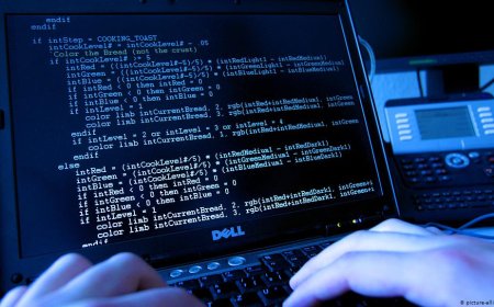 هجوم إلكتروني واسع النطاق يطال أكثر من ألف شركة بأمريكا