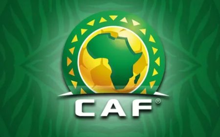 استبعاد زيمبابوي وكينيا من تصفيات أمم إفريقيا