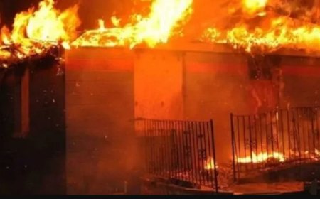 السنغال..حريق يودي بحياة 11 رضيعا
