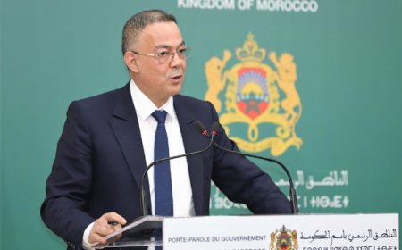 الحبوب والمواد الطاقية والمواد الأساسية المستوردة متوفرة (لقجع)