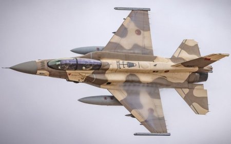 فرنسا والمغرب يختتمان المناورات العسكرية المشتركة