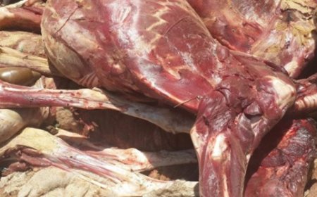 بفاس شبكة الذبيحة السرية في قبضة الأمن