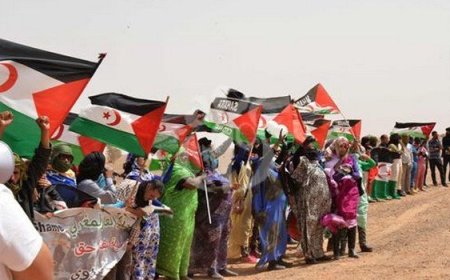 الأمم المتحدة توجه صفعة قوية لجبهة الوهم