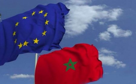 إعادة انتخاب المغرب نائبا لرئيس اللجنة التنفيذية لمركز شمال-جنوب