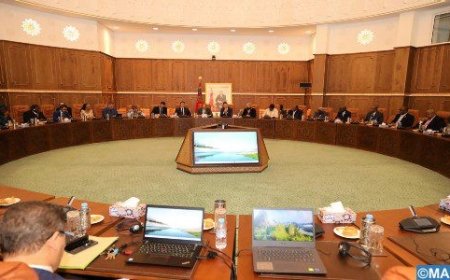 إشادة كبيرة من سفراء بلدان أفارقة بسياسة المغرب في مجال الهجرة