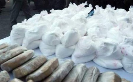 ميناء طنجة.. إجهاض محاولة تهريب كمية كبيرةمن الكوكايين