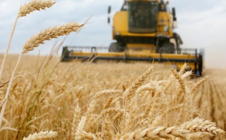 أزمة الحبوب..تقدم المفاوضات بين الأوكران والروس