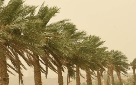 نشرة إنذارية.. زخات رعدية ورياح قوية مرتقبة بعدد من المناطق