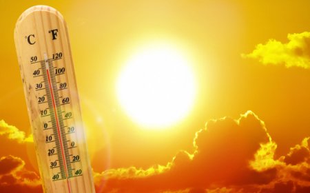 نشرة إنذارية..موجة حرارة مرتقبة ابتداء من هذا التاريخ
