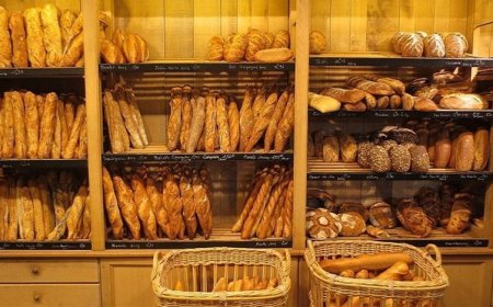 الجامعة الوطنية لأرباب المخابز ..أسعار الخبز مستقرة