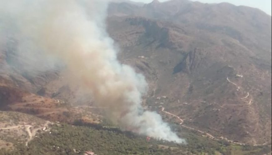 اندلاع نيران كثيفة بإحدى أكبر واحات النخيل بباشتوكة