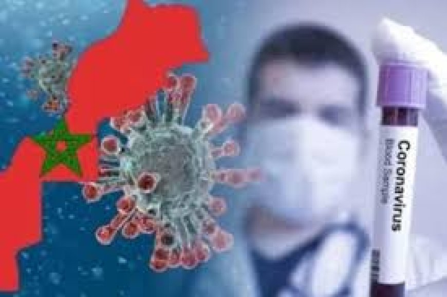 سار .. 6 جهات لم تسجل أي إصابة خلال 24 ساعة الماضية