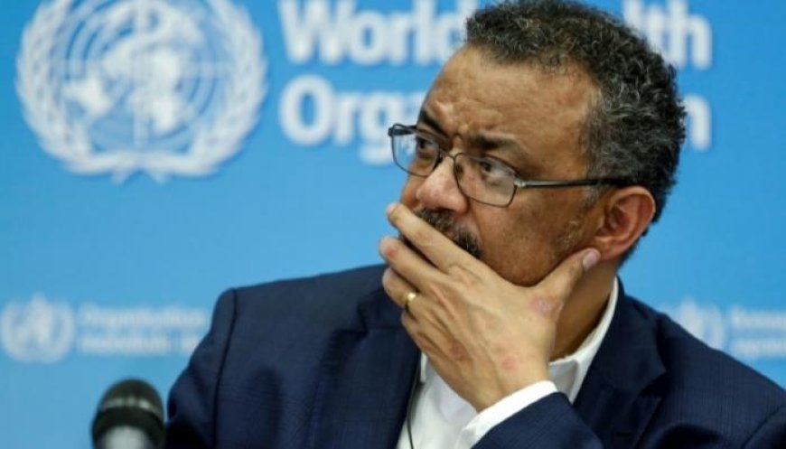 منظمة الصحة العالمية: لا يوجد حل سحري لفيروس كورونا حاليا وقد لا يكون هناك (حل) إطلاقا