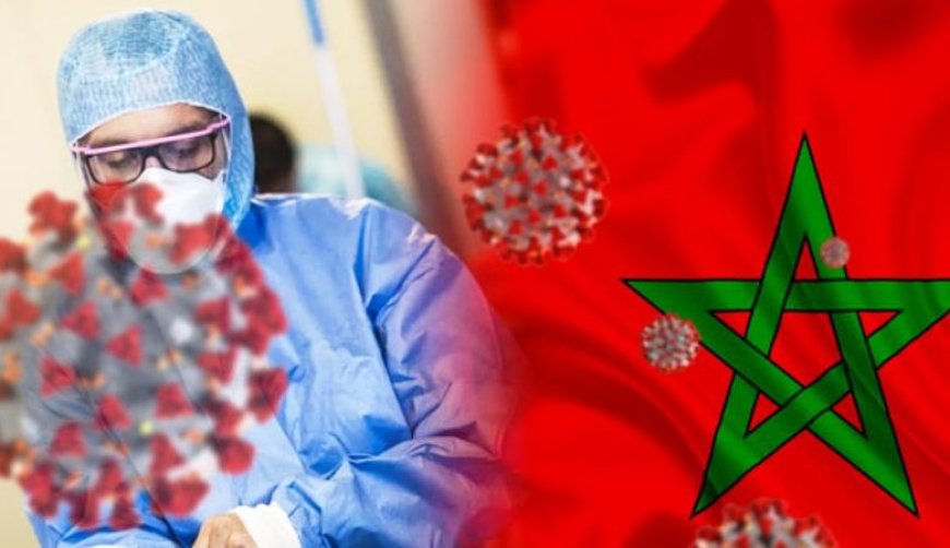 كوفيد 19 .. هذه حصيلة الإصابات المؤكدة بالمغرب خلال ل24 ساعة الماضية