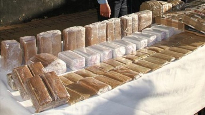 القنيطرة.. إحباط عملية تهريب طن و120 كيلوغراما من مخدر الشيرا على متن شاحنة للنقل الطرقي للبضائع