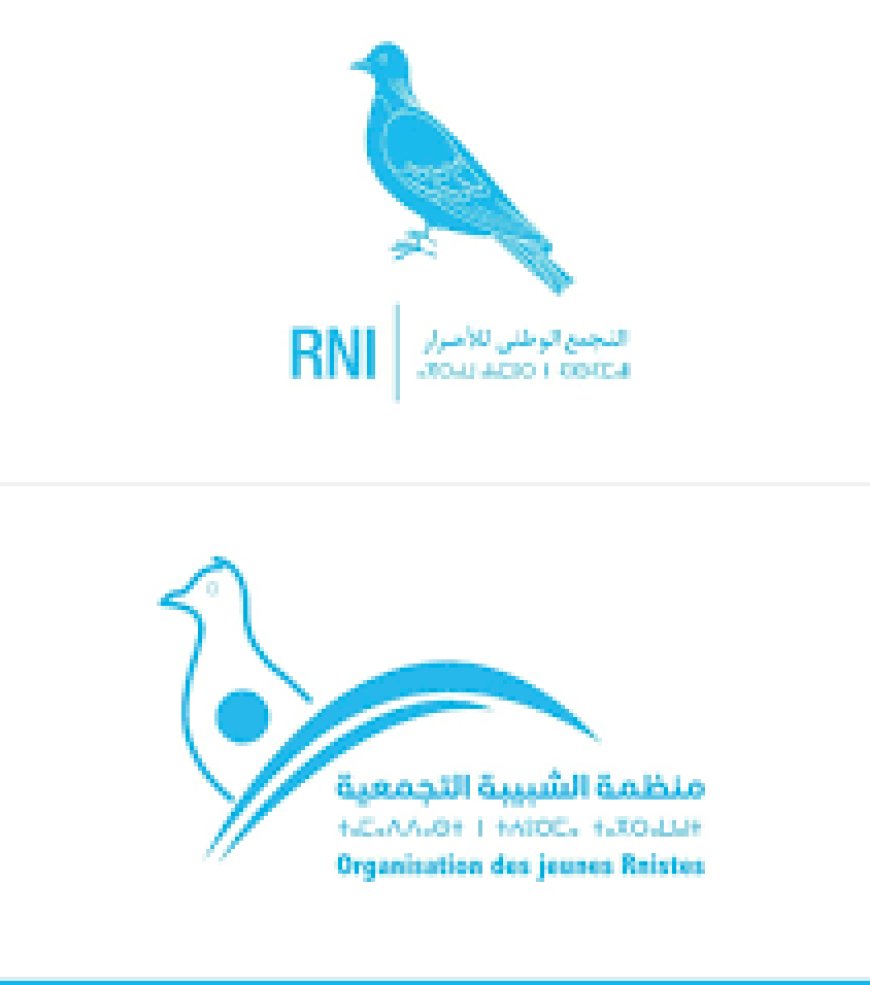مكناس .. شبيبة التجمع الوطني للأحرار تنظم لقاءا وهذه التفاصيل