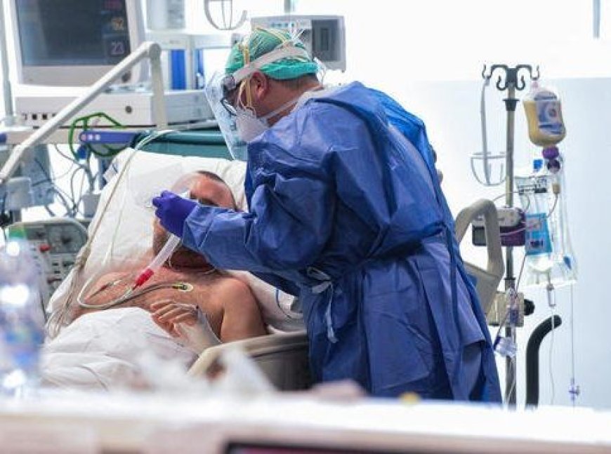 جهة فاس مكناس .. تسجيل ثلاث إصابات جديدة بفيروس كورونا خلال ل24 ساعة الماضية