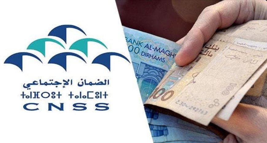 الCNSS: تمديد آجال التصريح بأجراء السياحة والمطاعم