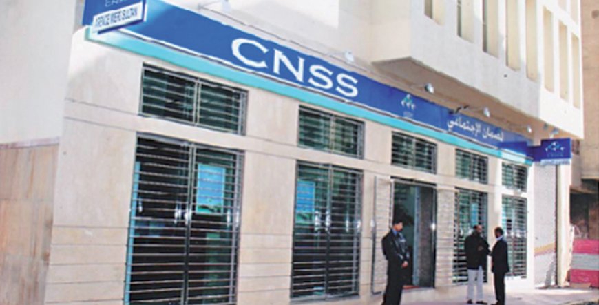 cnss .. انطلاق عملية تسجيل الأشخاص المعنيين بالمساهمة المهنية الموحدة