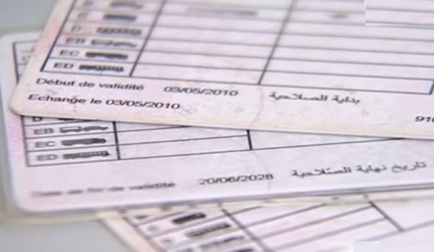 للمقبلين على رخصة السياقة .. رقمنة امتحانات نيل رخصة السياقة