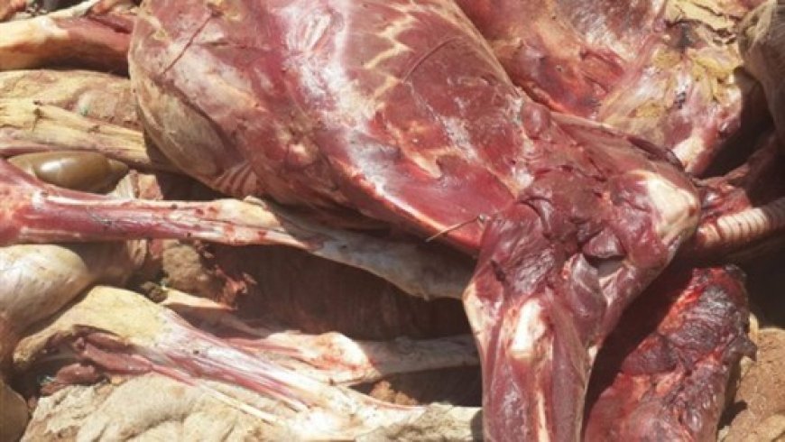 بفاس شبكة الذبيحة السرية في قبضة الأمن