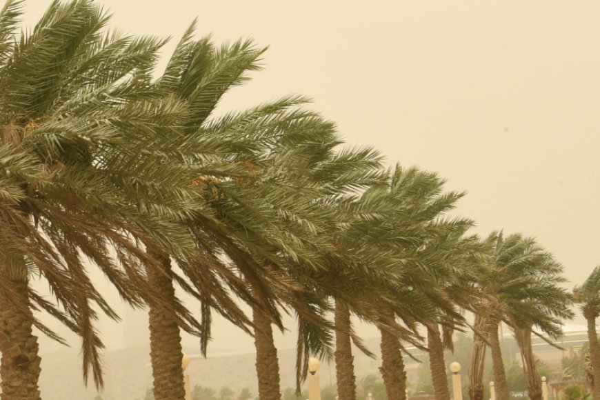 نشرة إنذارية.. زخات رعدية ورياح قوية مرتقبة بعدد من المناطق