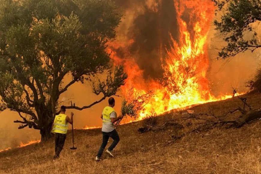 الجزائر..تسجيل حرائق في عدد من الولايات