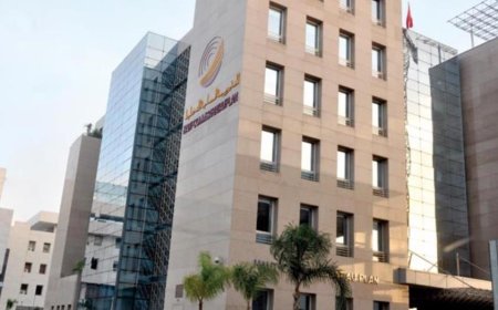 مندوبية التخطيط تطلق بحثا جديدا حول العائلة