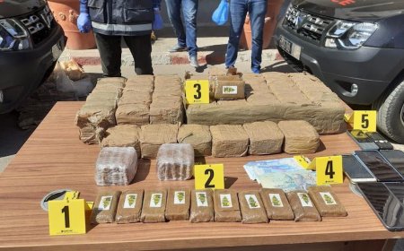 طنجة..إحباط عملية تهريب نوعية