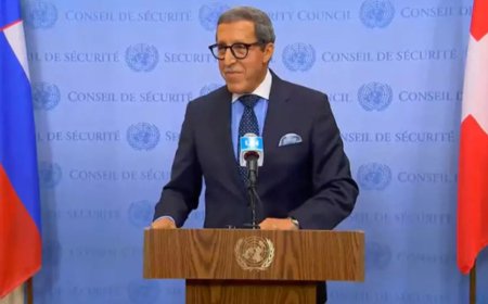 الصحراء المغربية..عمر هلال يوجه رسالة لمجلس الأمن تدحض ادعاءات الجزائر