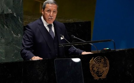 انتخاب عمر هلال رئيسا للجنة رفيعة المستوى بالأمم المتحدة