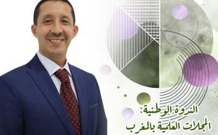 ندوة وطنية حول المجلات العلمية بالمغرب: الهيكلة، التراكم، الامتداد