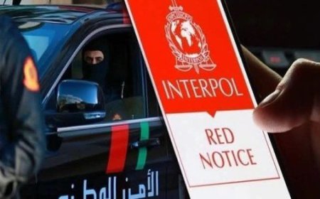 مراكش..توقيف فرنسي من أصول جزائرية