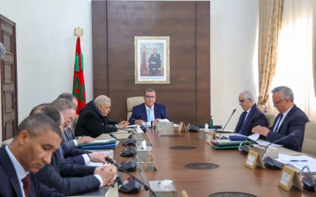 اجتماع لجنة القيادة المكلفة بـ"عرض المغرب" في مجال الهيدروجين الأخضر