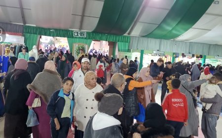 مكناس..المعرض الجهوي للاقتصاد الاجتماعي والتضامني يحقق أرقامًا قياسية