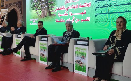 تنظيم متميز للنسخة الرابعة بمكناس