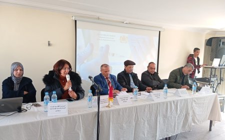 مكناس: لقاء تواصلي مع رؤساء جمعيات الأباء وأولياء تلاميذ المؤسسات التعليمية للتعبئة ضد داء الحصبة