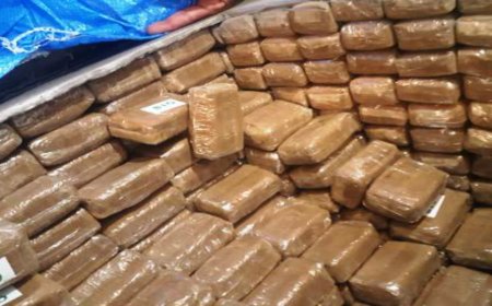إيمينتانوت..إحباط محاولة تهريب كمية كبيرة من مخدر الشيرا