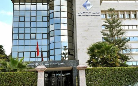 هذه الفئات التي لا تدخل في نطاق التسوية الطوعية للوضعية الجبائية