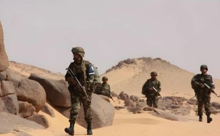 في خطوة تصعيدية..الجيش الجزائري يتوغل داخل الأراضي الموريتانية