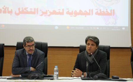 لقاء جهوي حول تنزيل الخطة الجهوية لتعزيز التكفل بالأطفال ضحايا التنمر