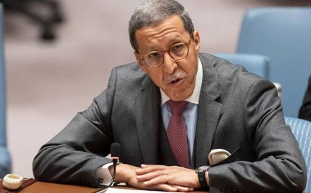 تعيين عمر هلال رئيسا مشاركا لمنتدى المجلس الاقتصادي والاجتماعي حول العلوم والتكنولوجيا والابتكار
