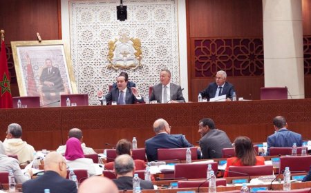 لجنة المالية تصادق بالأغلبية على الجزء الأول من مشروع قانون المالية لسنة 2025