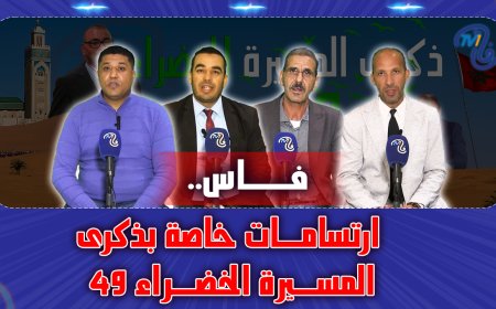 ارتسامات خاصة بالذكرى 49 للمسيرة الخضراء