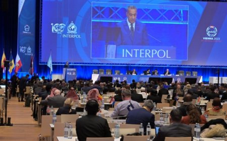 انتخاب المغرب بالأغلبية لتولي منصب نائب رئيس منظمة الأنتربول