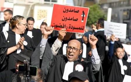 المحامون يقررون تنفيذ برنامج احتجاجي تصاعدي