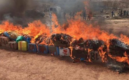 آسفي..حرق أزيد من 8 أطنان من الشيرا ومواد مخدرة أخرى
