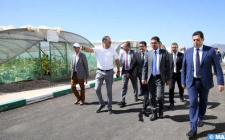 تدشين أول معمل لتحويل القنب الهندي المشروع
