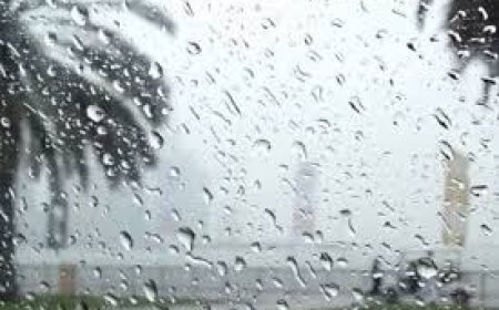 أحوال الطقس..زخات رعدية قوية مصحوبة بحبات البرد وبهبات رياح